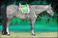 Horse Color:Buckskin Ice Rabicano and Buckskin Ice Rabicano