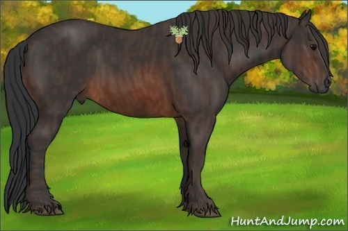 Horse Color:Brown  Brindle