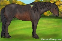 Horse Color:Brown Brindle