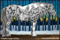 Horse Color:White Spotted Black Splash Tobiano Frame Appaloosa