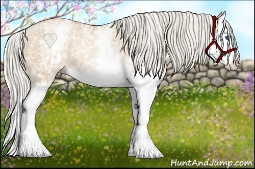 Horse Color:White Spotted Palomino Pearl Splash Rabicano 