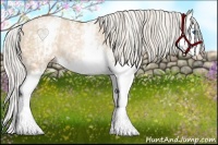 Horse Color:White Spotted Palomino Pearl Splash Rabicano