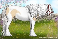 Horse Color:Silver Amber Champagne Dun Splash Tobiano Rabicano