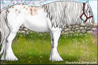 Horse Color:White Spotted Silver Bay Splash Appaloosa 