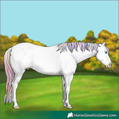 Horse Color:Nacre Classic Champagne Dun Splash Tobiano Varnish Rabicano