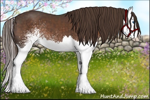 Horse Color:White Spotted Liver Chestnut Splash 