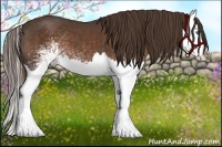 Horse Color:White Spotted Liver Chestnut Splash 