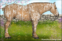 Horse Color:Gray White Spotted Black Brindle