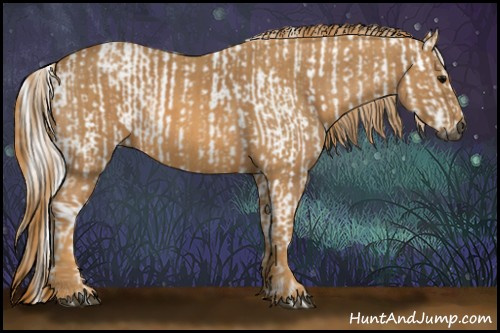 Horse Color:Gray White Spotted Black  Brindle