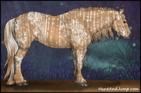 Horse Color:Gray White Spotted Black  Brindle