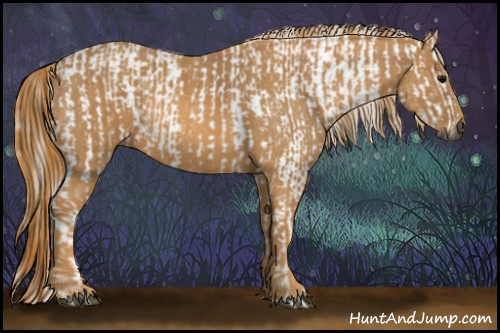 Horse Color:Gray White Spotted Black  Brindle