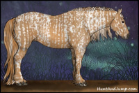 Horse Color:Gray White Spotted Black  Brindle