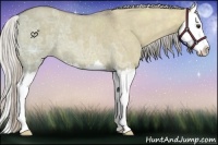 Horse Color:Silver Bay Ice Roan Dun Splash 