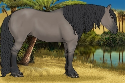 Horse Color:Grullo 