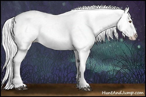 Horse Color:White Spotted Silver Blue Onyx Chinchilla Varnish Rabicano 