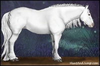Horse Color:White Spotted Silver Blue Onyx Chinchilla Varnish Rabicano