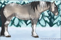 Horse Color:Blue Onyx Ice Tobiano Rabicano