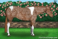 Horse Color:Chestnut Ice Tobiano 