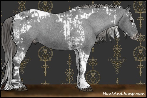 Horse Color:Black Splash Tobiano Appaloosa  and Black Splash Tobiano Appaloosa 