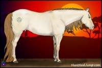 Horse Color:Red Dun Pearl 