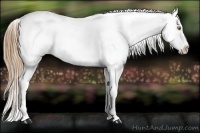 Horse Color:Chestnut Pearl Near Fewspot