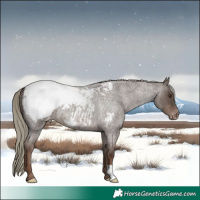 Horse Color:Liver Red Roan Mushroom Snowcap