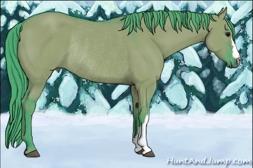 Horse Color:Watercolor Smoky Grullo Rabicano 