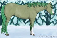 Horse Color:Watercolor Smoky Grullo Rabicano 