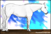 Horse Color:Gray Silver Brown Roan 