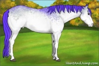 Horse Color:Watercolor White Spotted Brown Onyx Rabicano 