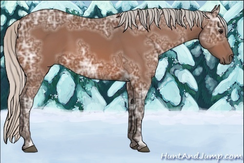 Horse Color:Silver Bay Ice