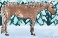 Horse Color:Silver Bay Ice 