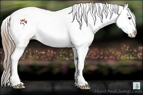 Horse Color:Liver Red Dun Sabino Splash Appaloosa 