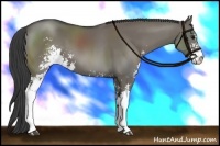 Horse Color:Smoky Grullo Sabino
