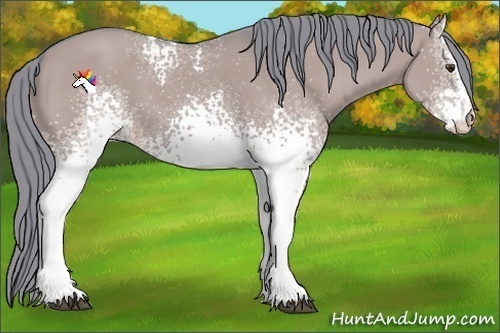 Horse Color:Watercolor White Spotted Liver Red Dun Sabino 