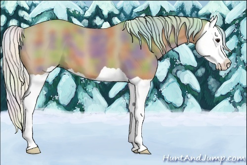 Horse Color:Nacre Watercolor Silver Bay Splash