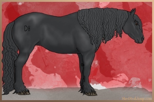 Horse Color:Black Chinchilla 