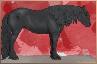 Horse Color:Black Chinchilla 