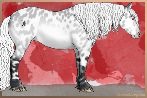 Horse Color:Silver Bay Chinchilla Near Leopard