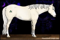 Horse Color:Silver Buckskin Pearl Dun Sabino Rabicano 