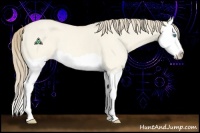 Horse Color:Perlino Dun Splash 