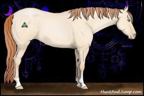 Horse Color:Buckskin Pearl Dun