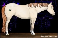 Horse Color:Buckskin Pearl Dun 