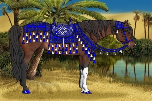 Horse Color:Bay Rabicano 