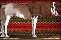 Horse Color:Chestnut Splash Rabicano 