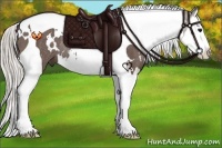 Horse Color:White Spotted Silver Black Splash Tobiano Rabicano