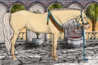 Horse Color:Silver Amber Champagne Dun Sabino
