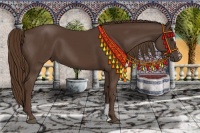 Horse Color:Liver Chestnut Sabino 