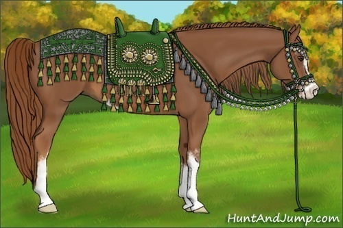 Horse Color:Chestnut Sabino 