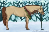 Horse Color:Red Dun Sabino